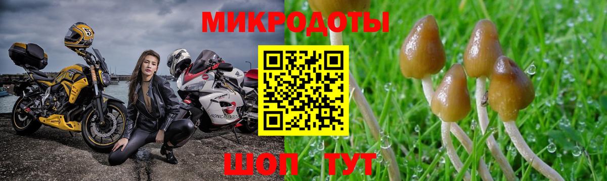 Псилоцибиновые грибы мицелий Павловский Посад